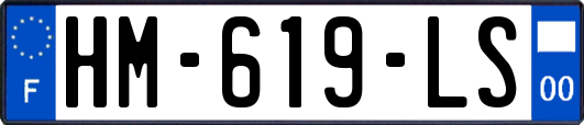 HM-619-LS