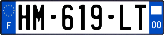 HM-619-LT