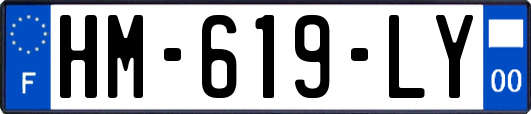 HM-619-LY