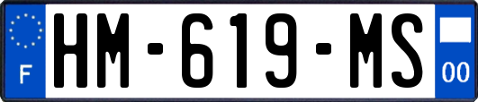 HM-619-MS
