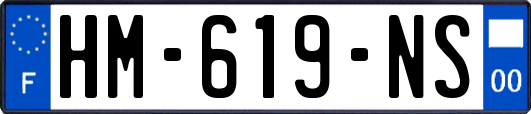 HM-619-NS