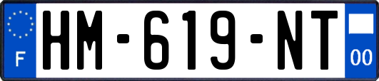 HM-619-NT