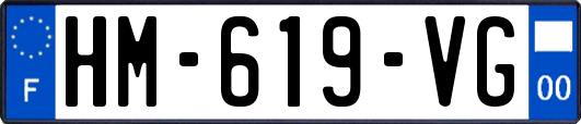 HM-619-VG