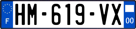 HM-619-VX