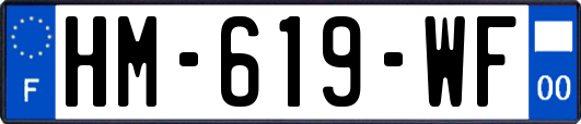 HM-619-WF