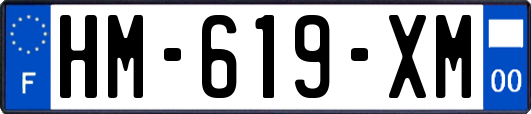 HM-619-XM