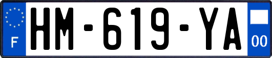 HM-619-YA