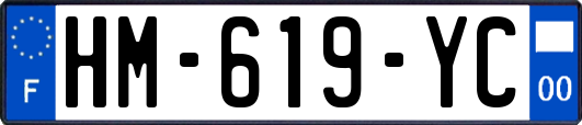 HM-619-YC