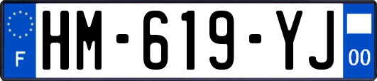HM-619-YJ