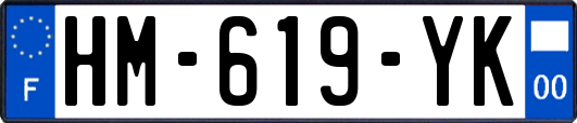 HM-619-YK