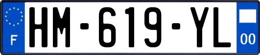 HM-619-YL