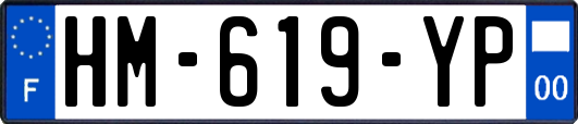 HM-619-YP