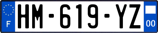 HM-619-YZ