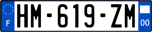 HM-619-ZM
