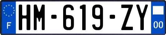HM-619-ZY