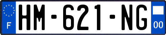 HM-621-NG