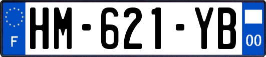 HM-621-YB