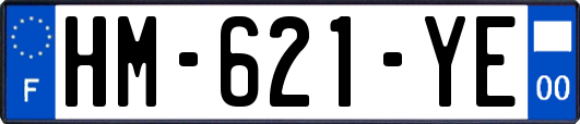 HM-621-YE
