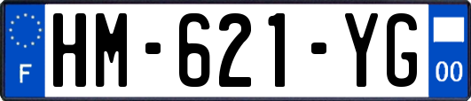 HM-621-YG