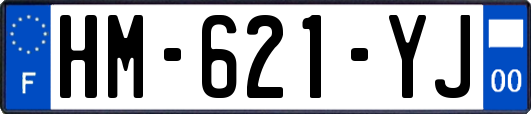 HM-621-YJ