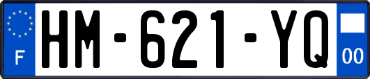 HM-621-YQ