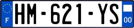 HM-621-YS