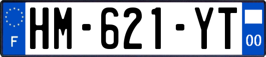 HM-621-YT