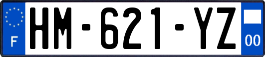 HM-621-YZ