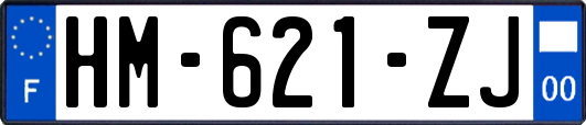 HM-621-ZJ