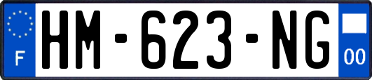 HM-623-NG