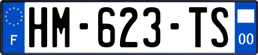 HM-623-TS