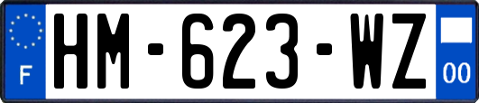 HM-623-WZ