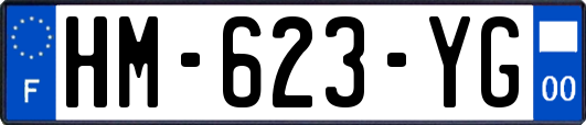 HM-623-YG
