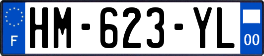 HM-623-YL