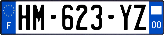 HM-623-YZ