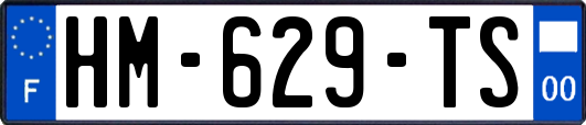 HM-629-TS