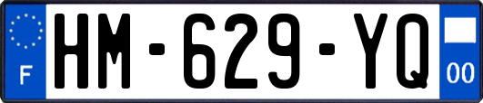 HM-629-YQ