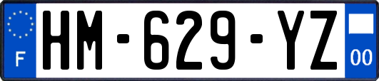 HM-629-YZ