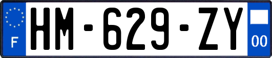 HM-629-ZY