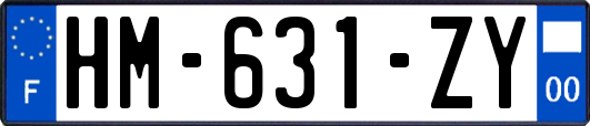 HM-631-ZY