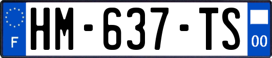 HM-637-TS