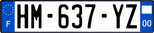 HM-637-YZ