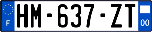 HM-637-ZT
