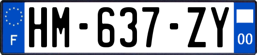 HM-637-ZY