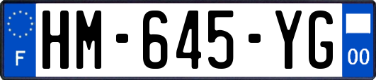 HM-645-YG