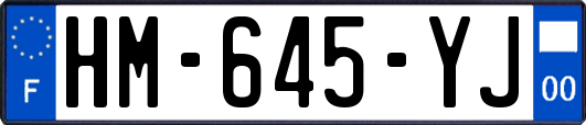 HM-645-YJ