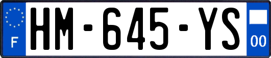 HM-645-YS
