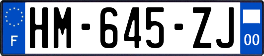 HM-645-ZJ