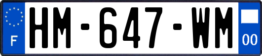 HM-647-WM