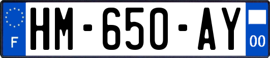 HM-650-AY